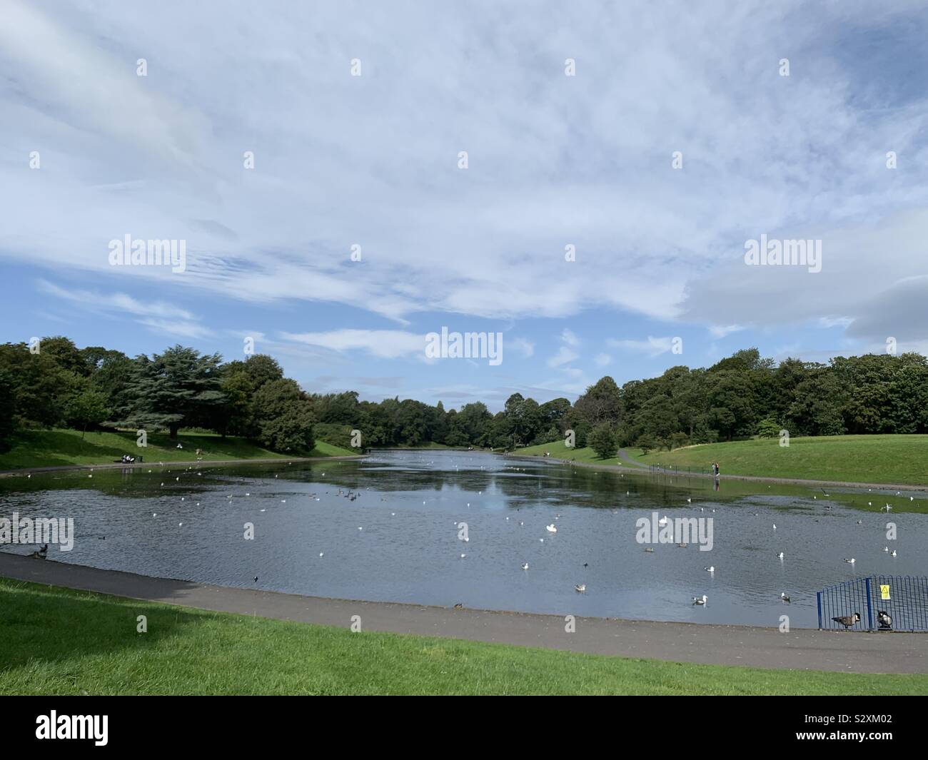Sefton park liverpool hires stock photography and images Alamy