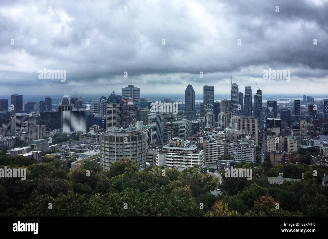 Montréal skyline seen from Mount Royal Park - Smartphone Captured Stock Image