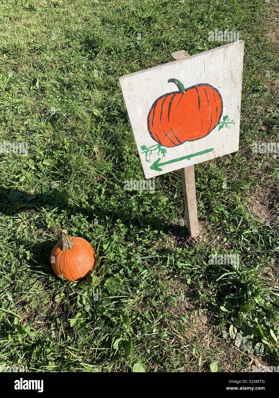 Sign for getting a pumpkin Stock Photo