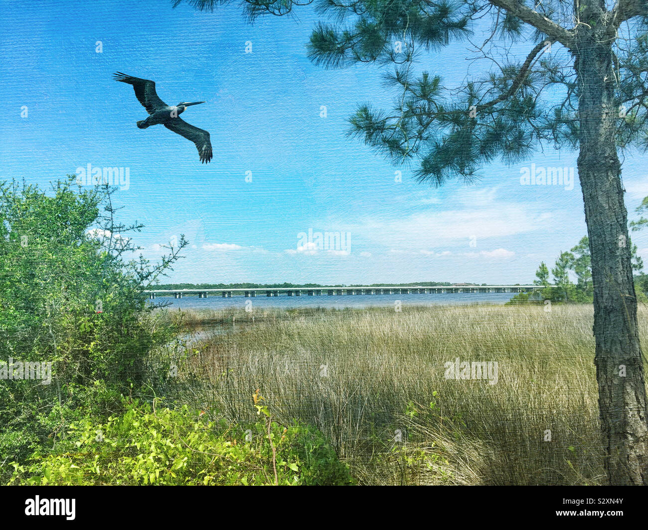 Florida coastal landscape hires stock photography and images Alamy