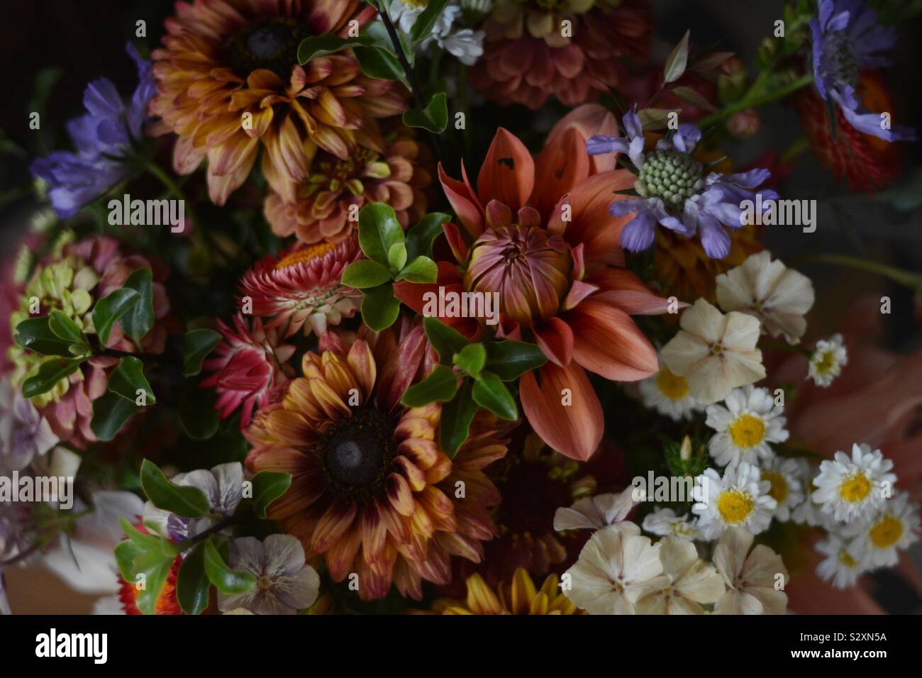 British grown flowers Stock Photo Alamy