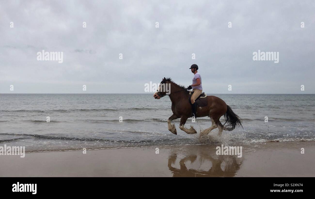 Man riding a horse on the beach Stock Photo