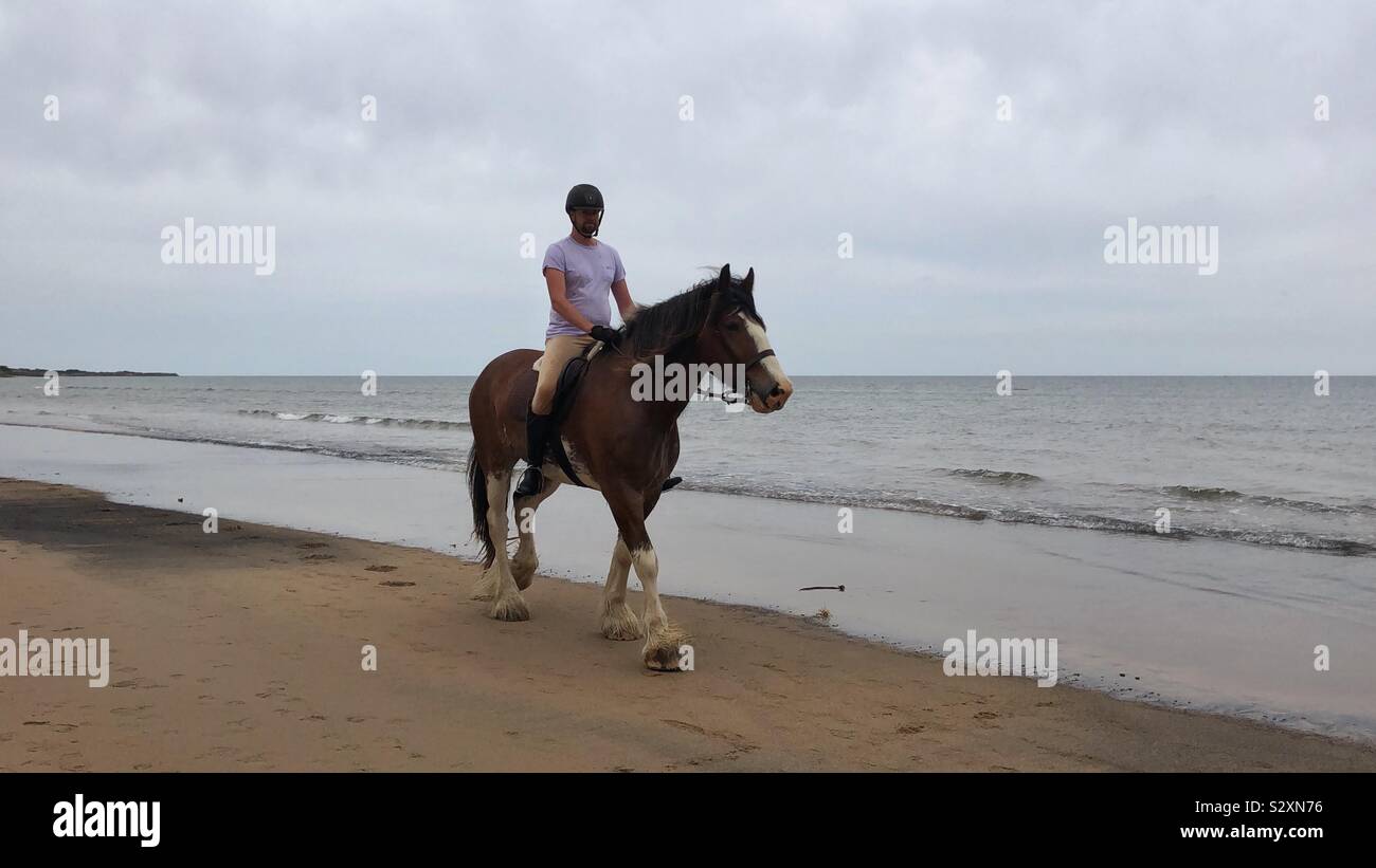 Horseriding on the beach. Man riding a horse. Stock Photo