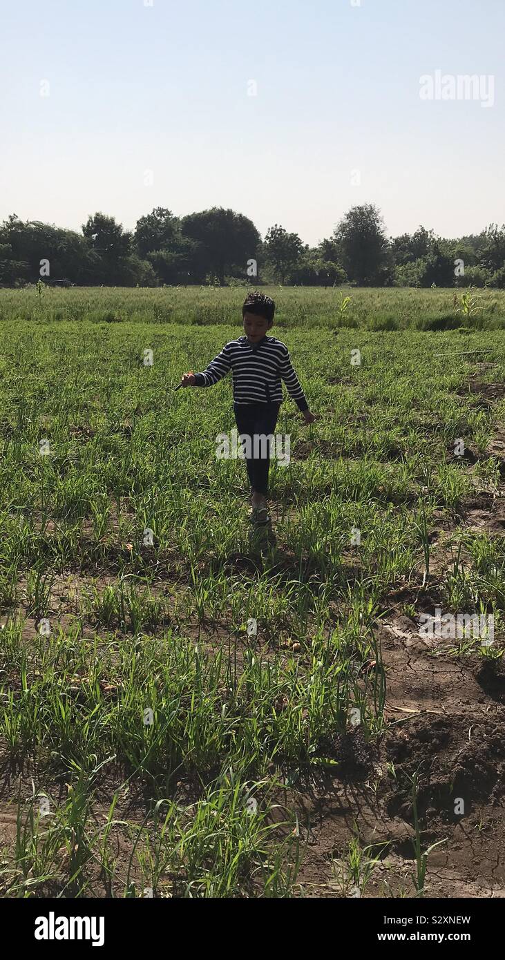 Boy exploring farm land - Smartphone Captured Stock Image