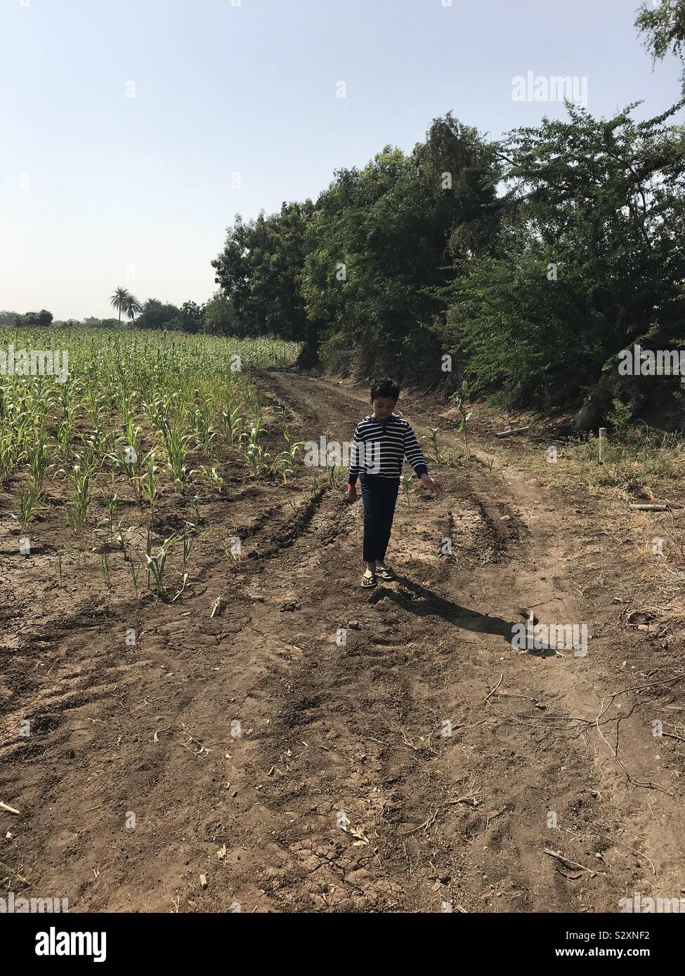 Boy exploring farm land - Smartphone Captured Stock Image
