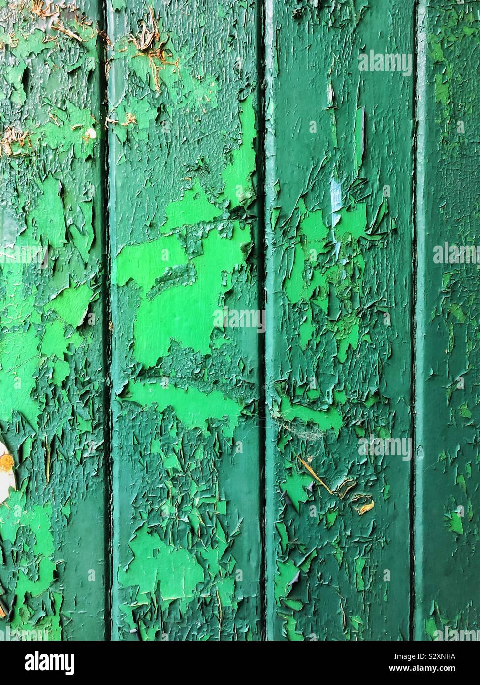 Peeling green paint on an old wooden door. - Smartphone Captured Stock Image