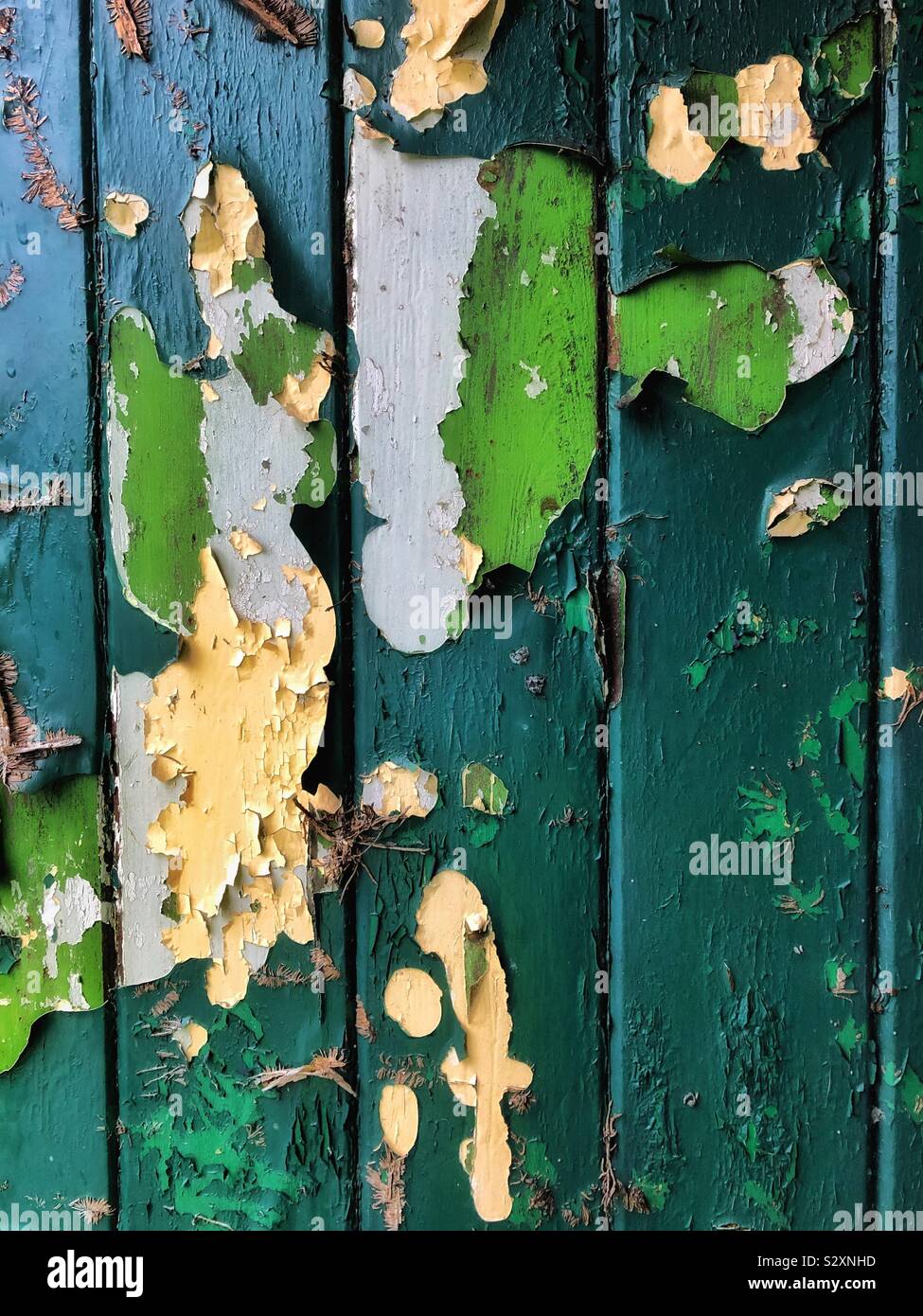 Peeling green paint on an old wooden door - Smartphone Captured Stock Image