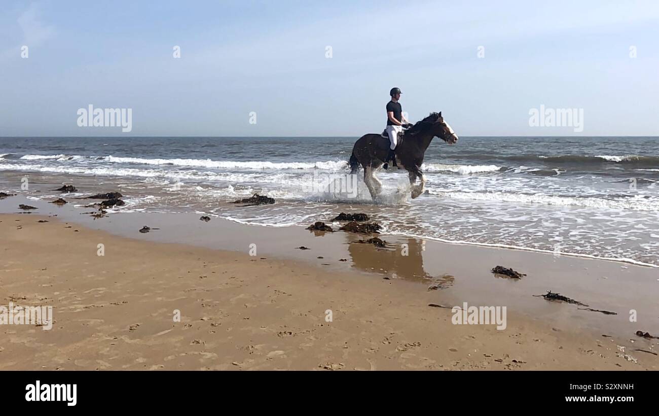 Horse rider on the beach Stock Photo