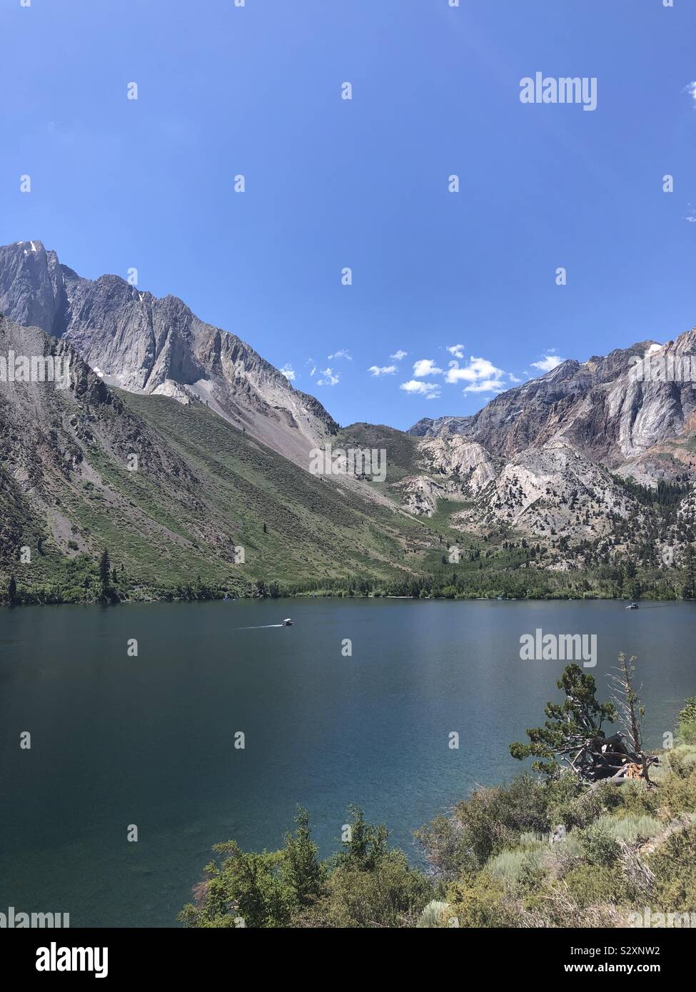 Still and beautiful lake in the Sierra’s in California with trees, blue sky’s , and one boat out on lake fishing Stock Photo