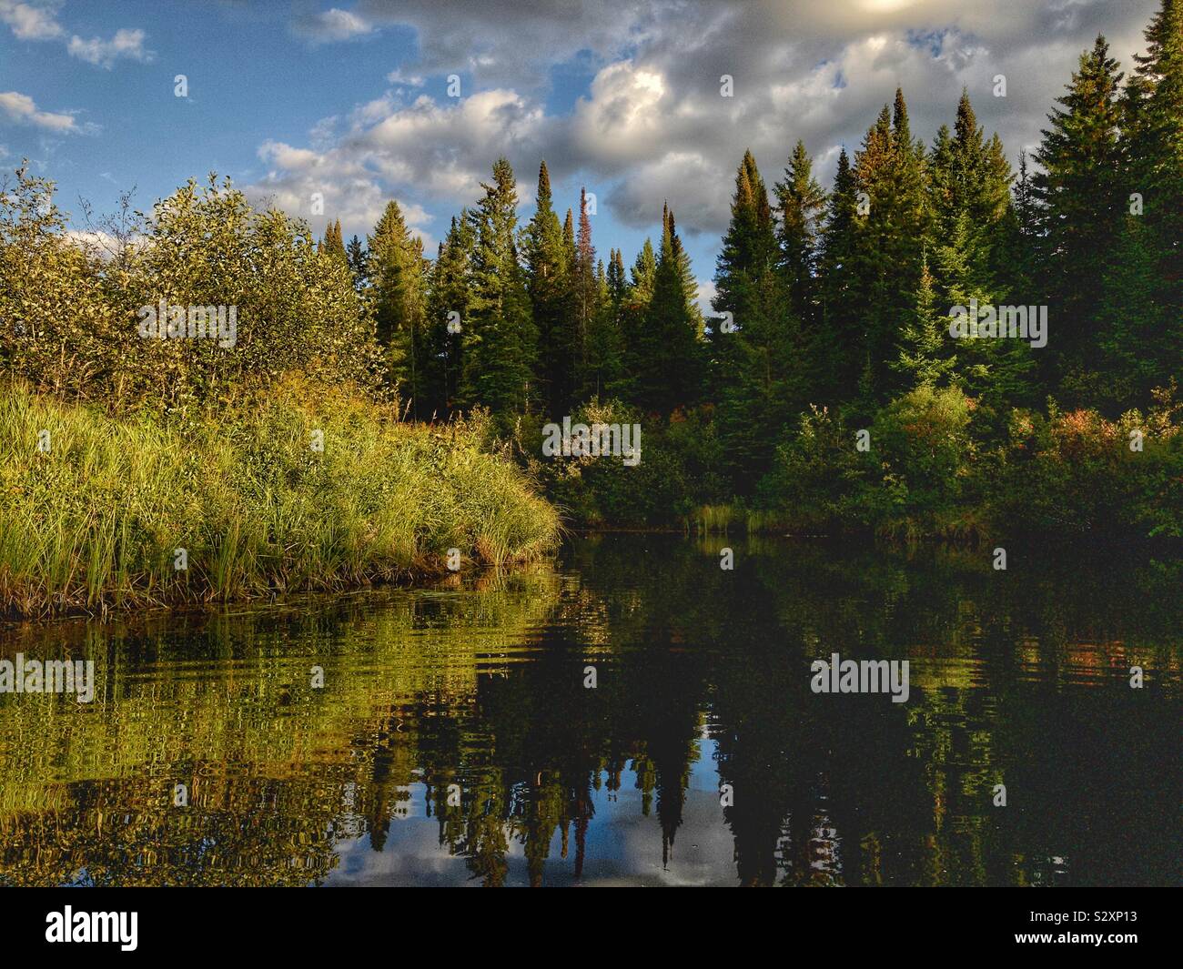 Madawaska River in Algonquin Park, Ontario, Canada, September 2019