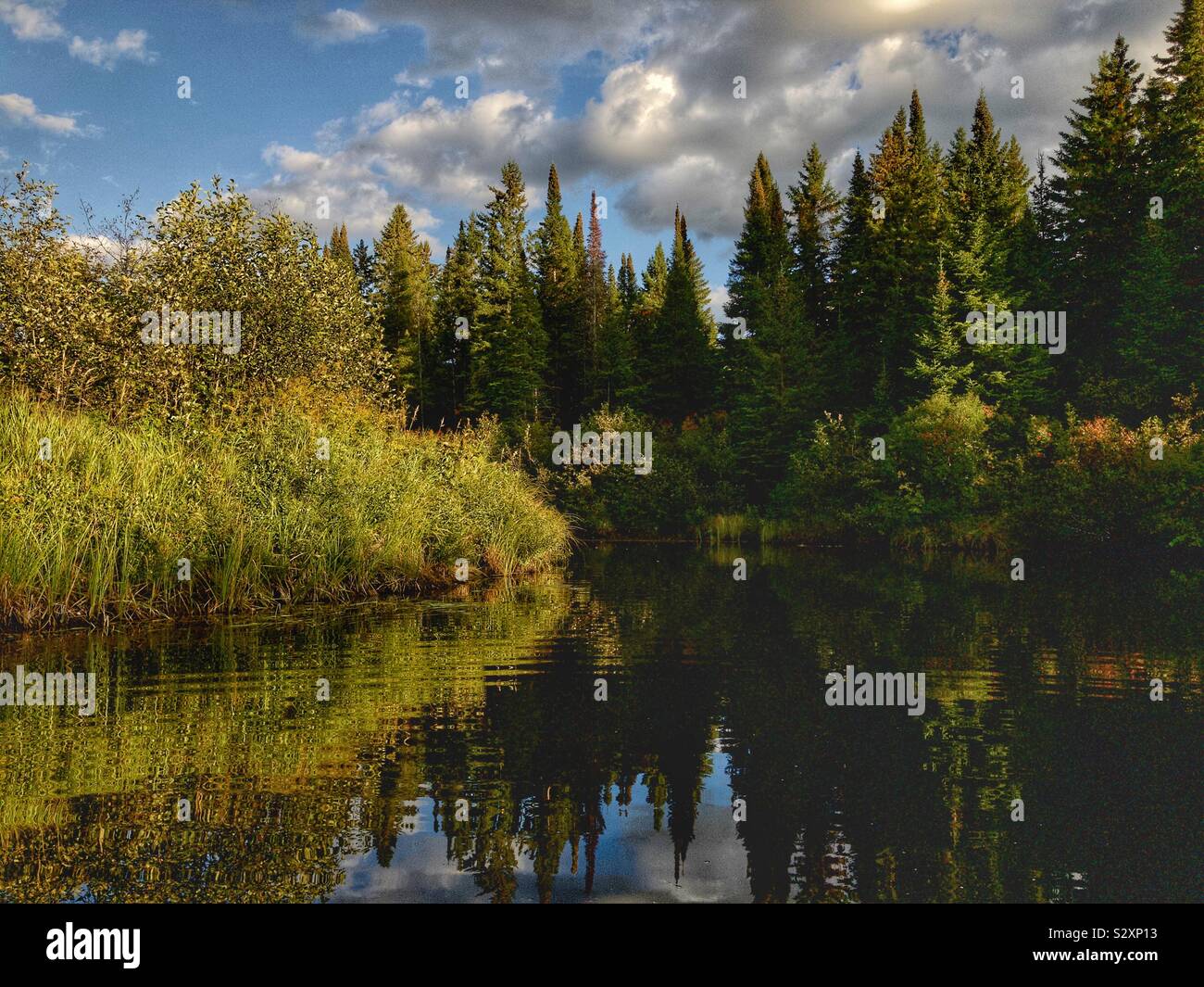 Madawaska River in Algonquin Park, Ontario, Canada, September 2019 Stock Photo