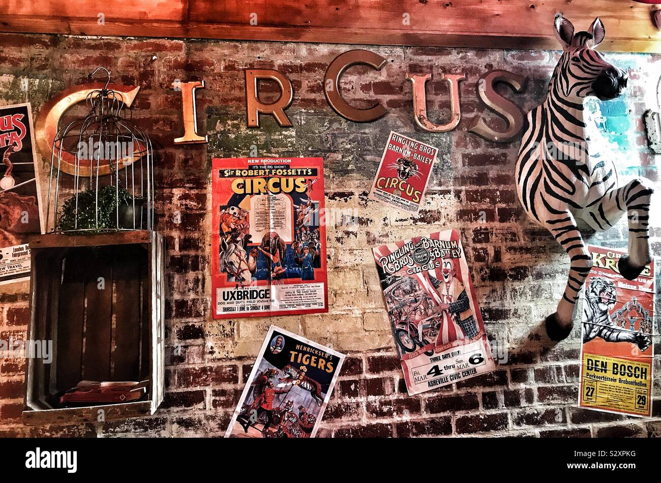 Vintage Circus Photo Shoot
