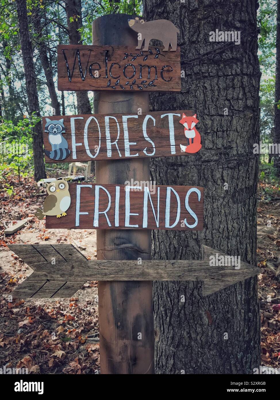 Homemade signpost for baby shower reading “Welcome Forest Friends” - Smartphone Captured Stock Image