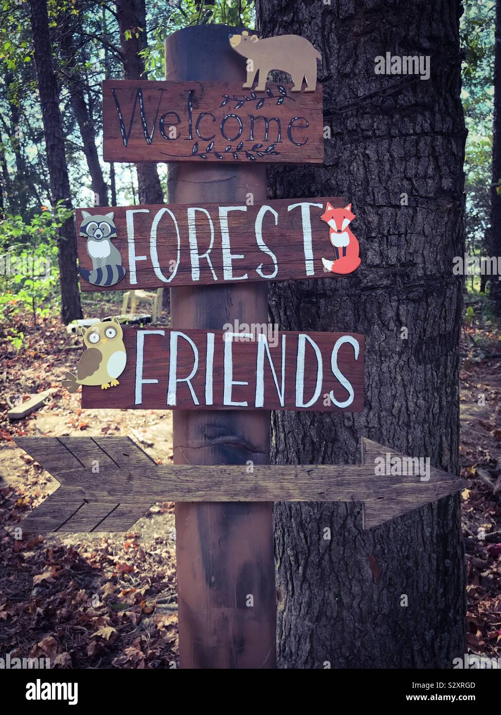 “Welcome Forest Friends” reads a hand crafted wooden sign post for a baby shower - Smartphone Captured Stock Image