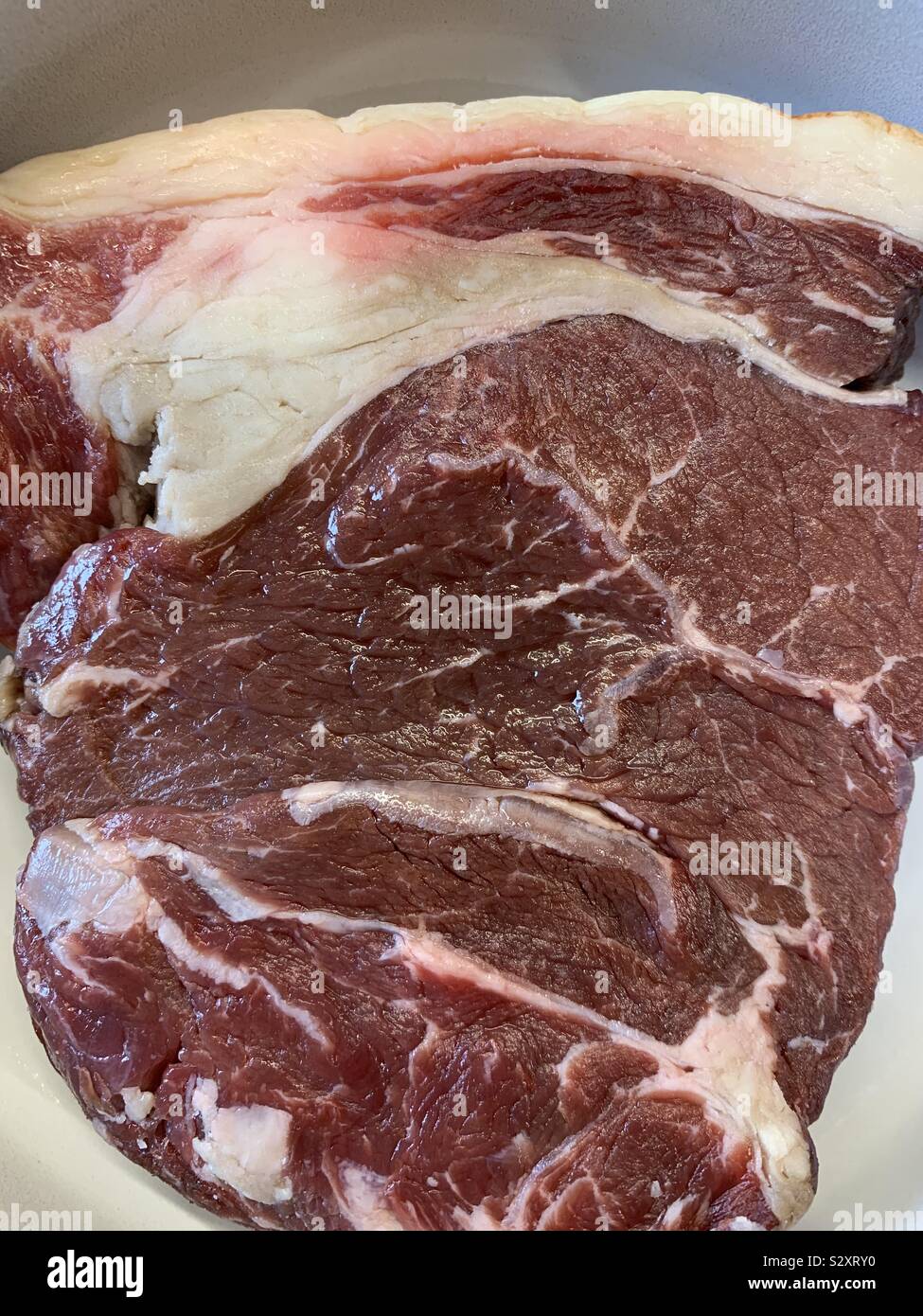 What a RUMPus for a Steak - Smartphone Captured Stock Image