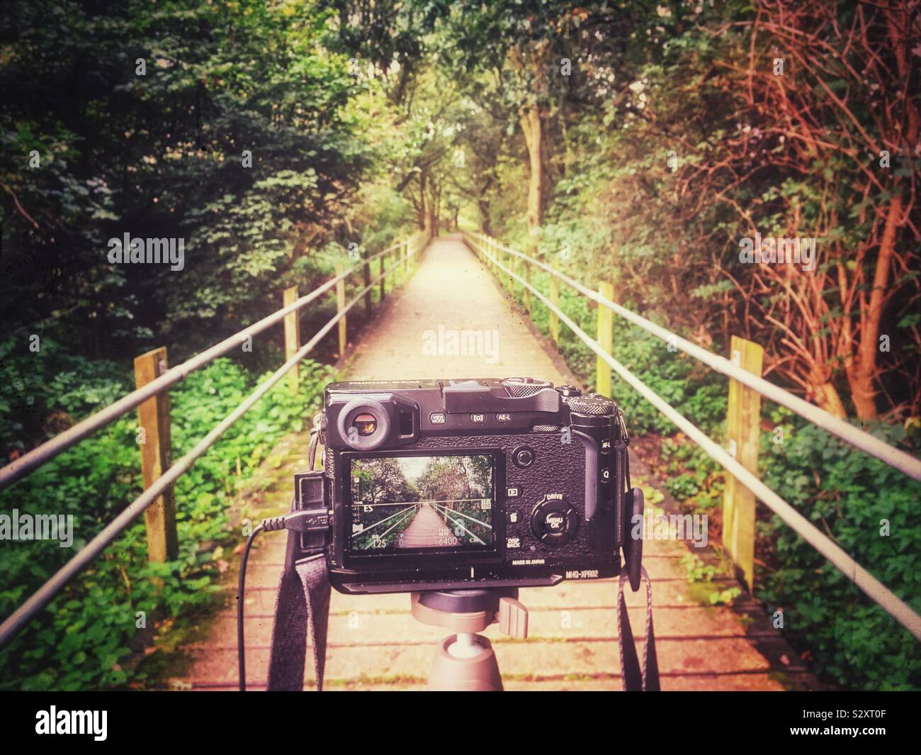 Landscape photography with evf view on camera - Smartphone Captured Stock Image