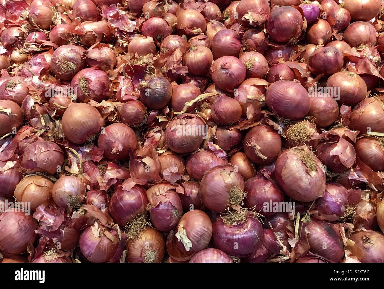 Purple onions hi-res stock photography and images - Alamy