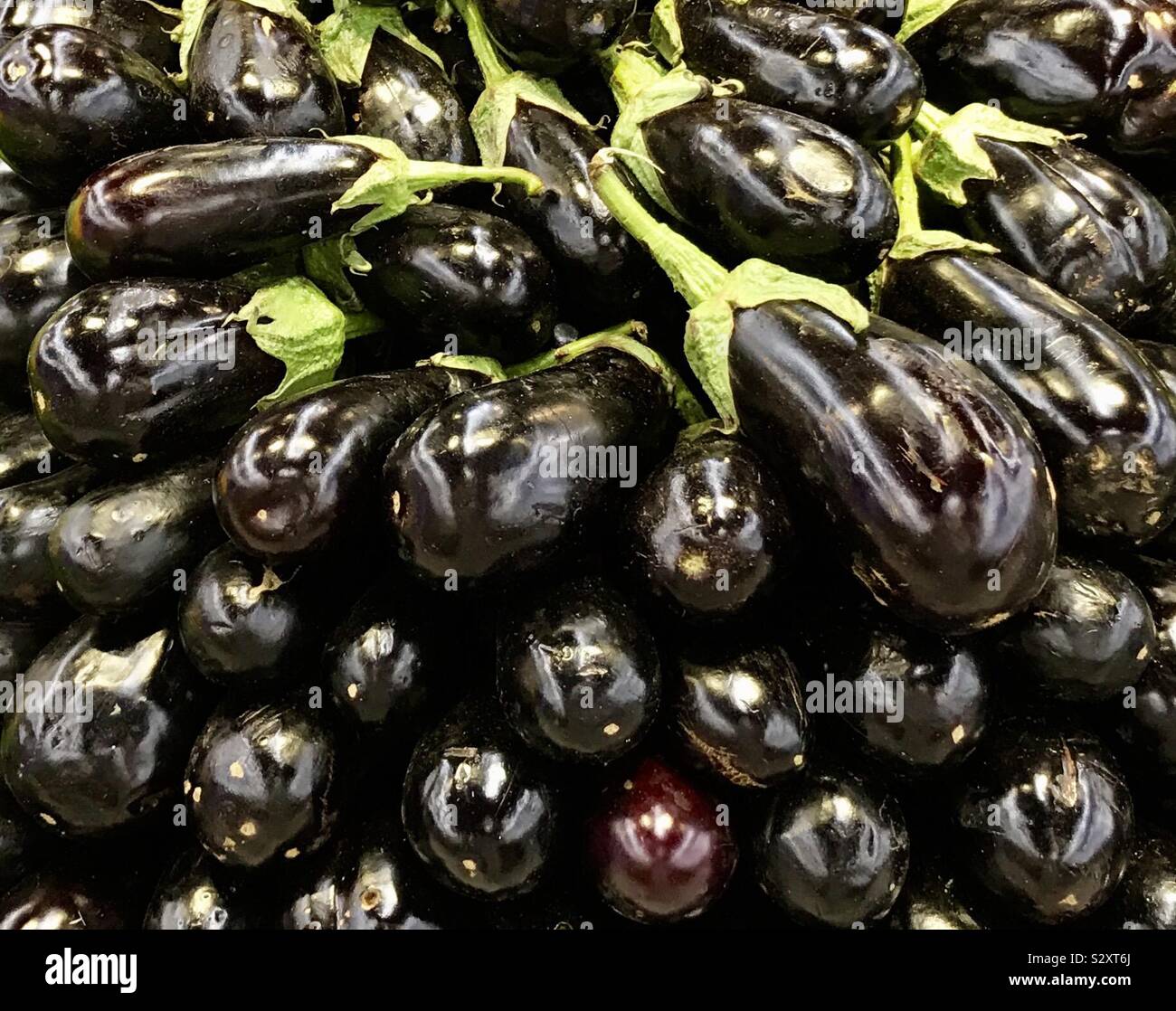purple eggplants in a bookstore - Smartphone Captured Stock Image