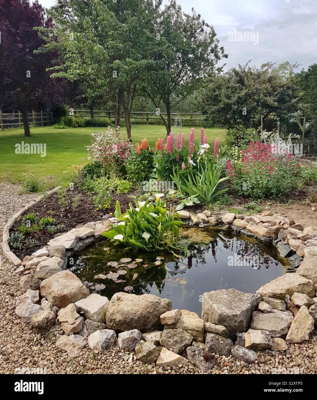 Fish Pond Garden - Smartphone Captured Stock Image