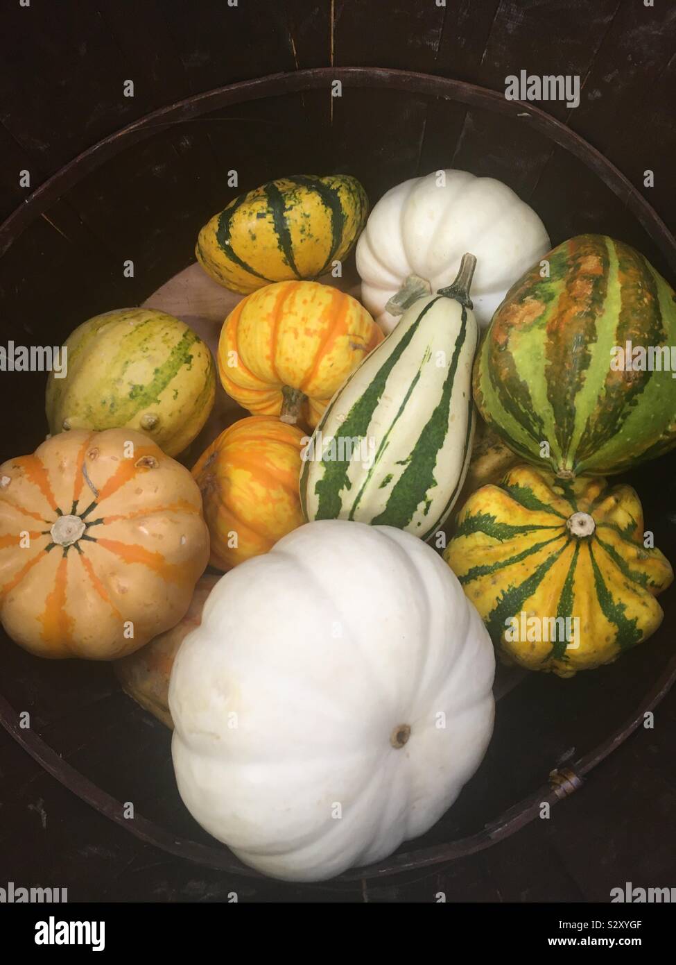 Squash decorations Stock Photo