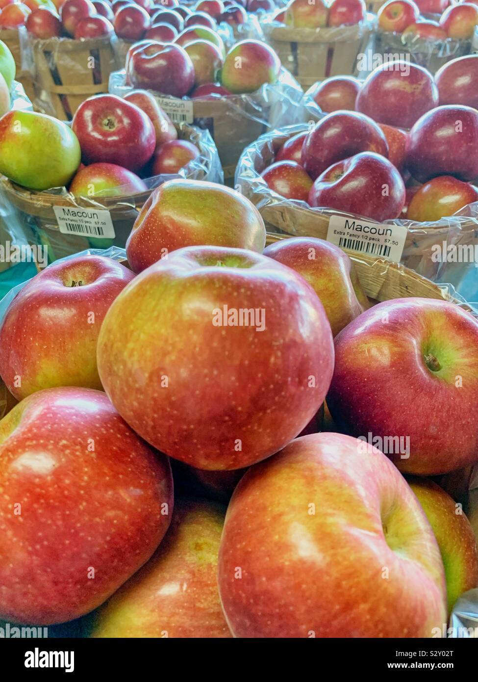 Macoun apples in baskets for sale - Smartphone Captured Stock Image