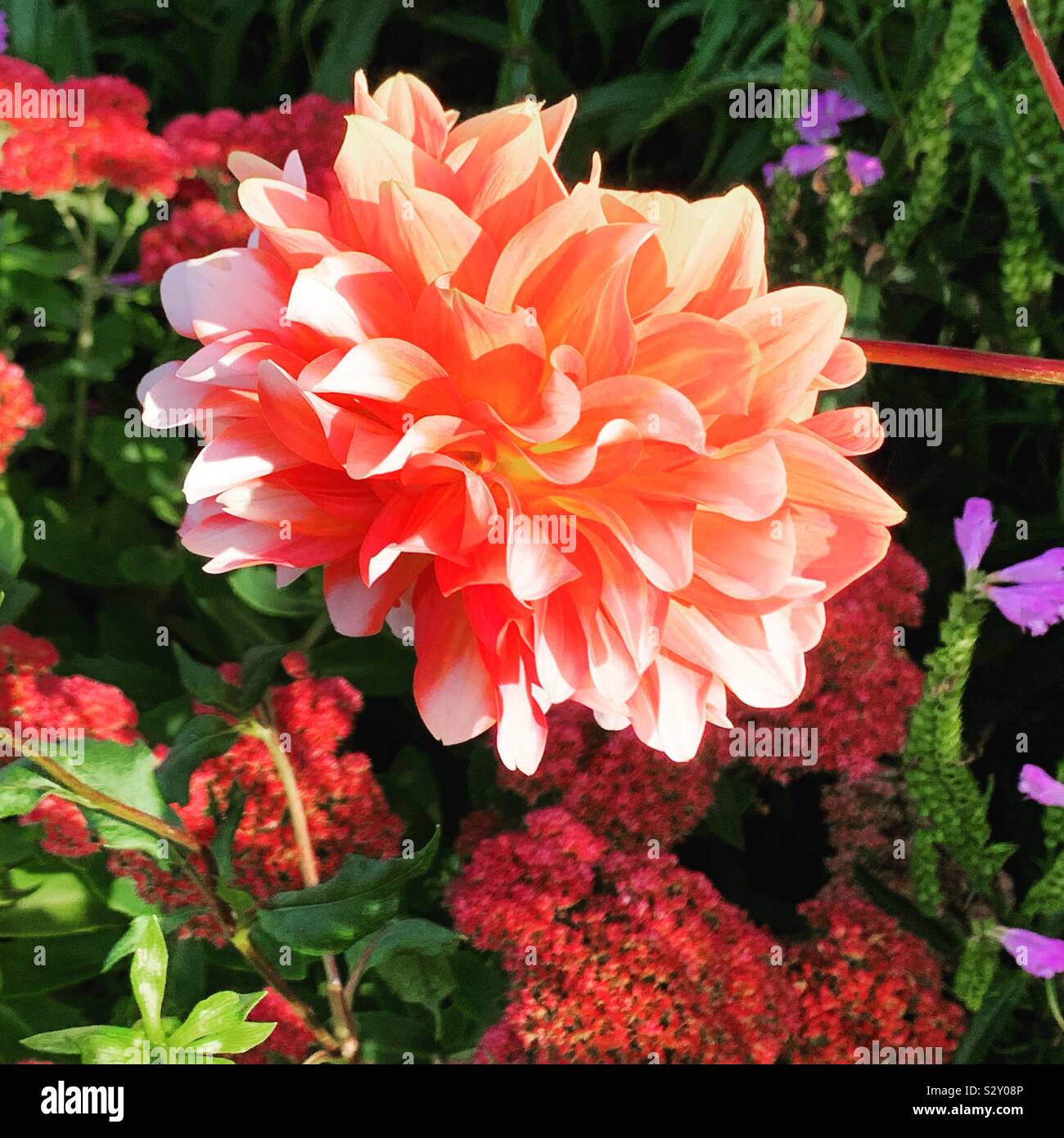 September on the Bridge of Flowers, Shelburne Falls, Massachusetts, United States - Smartphone Captured Stock Image
