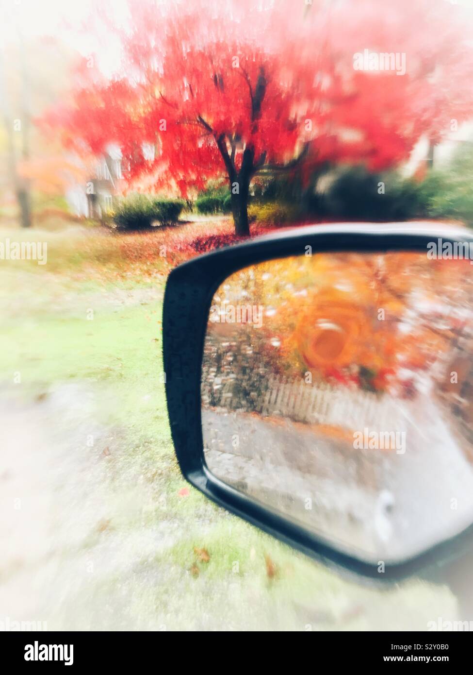 Rainy day autumnal abstract red Japanese maple tree Acer palmatum and orange fall leaves reflections in car mirror autumn vertical abstract mobile background with copy space. - Smartphone Captured Stock Image