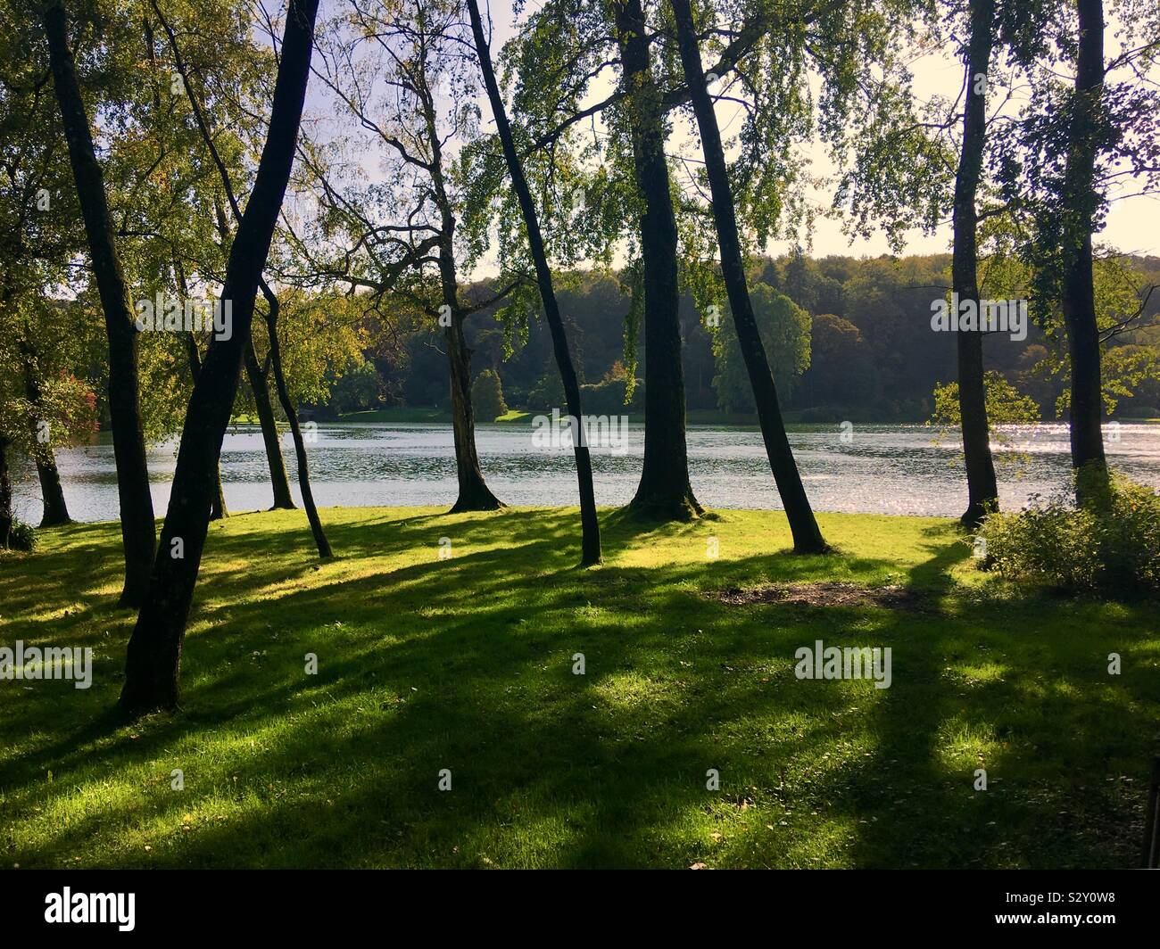 Trees with lake hi-res stock photography and images - Alamy