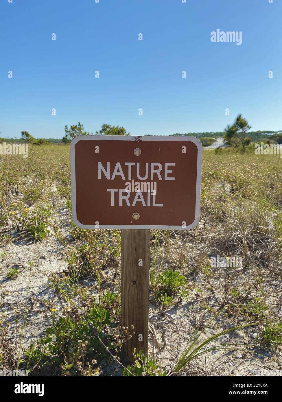 Nature trail sign with white sand dunes and natural dune plants - Smartphone Captured Stock Image
