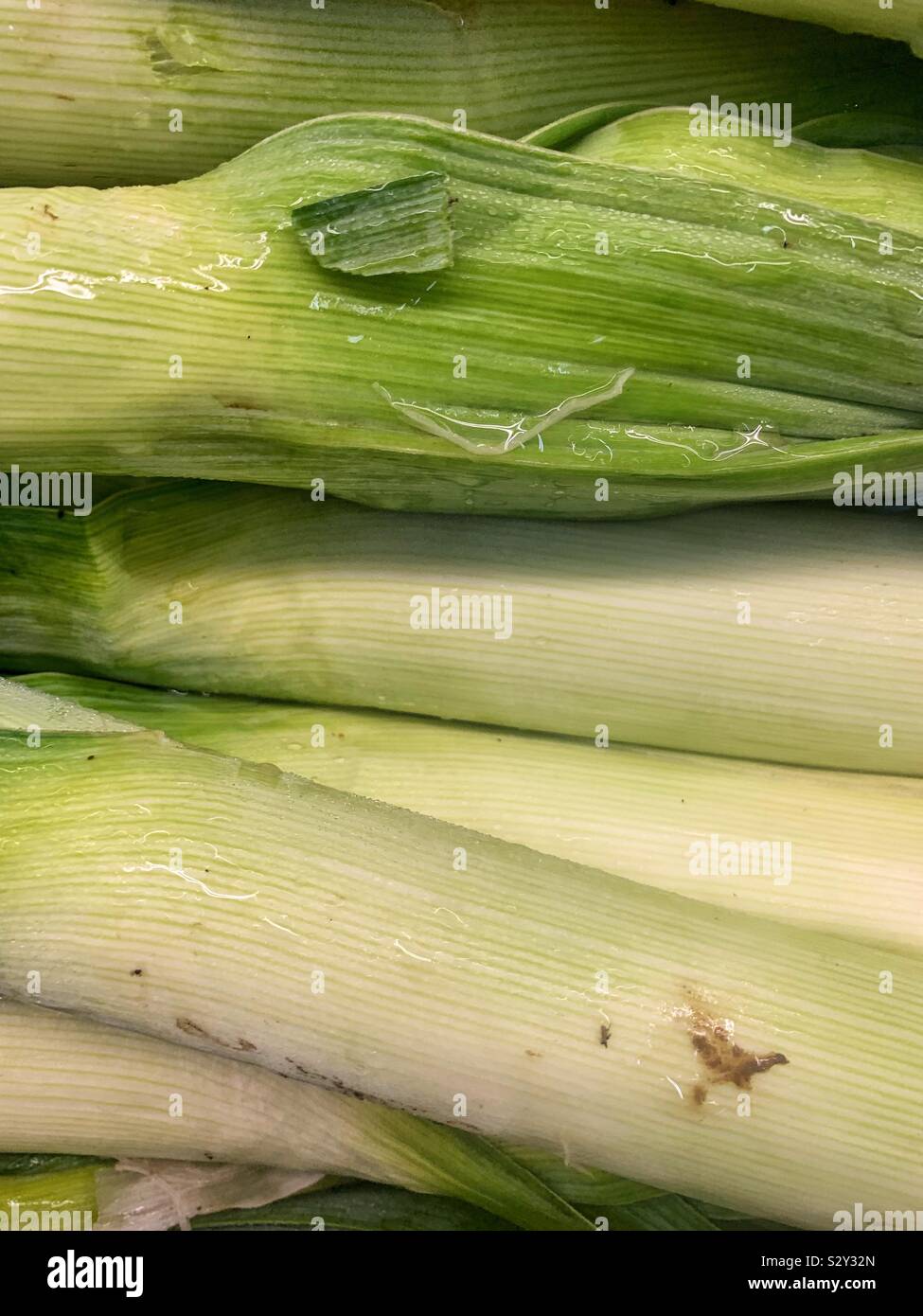 Ripe tasty green leeks, allium ampeloprasum Stock Photo