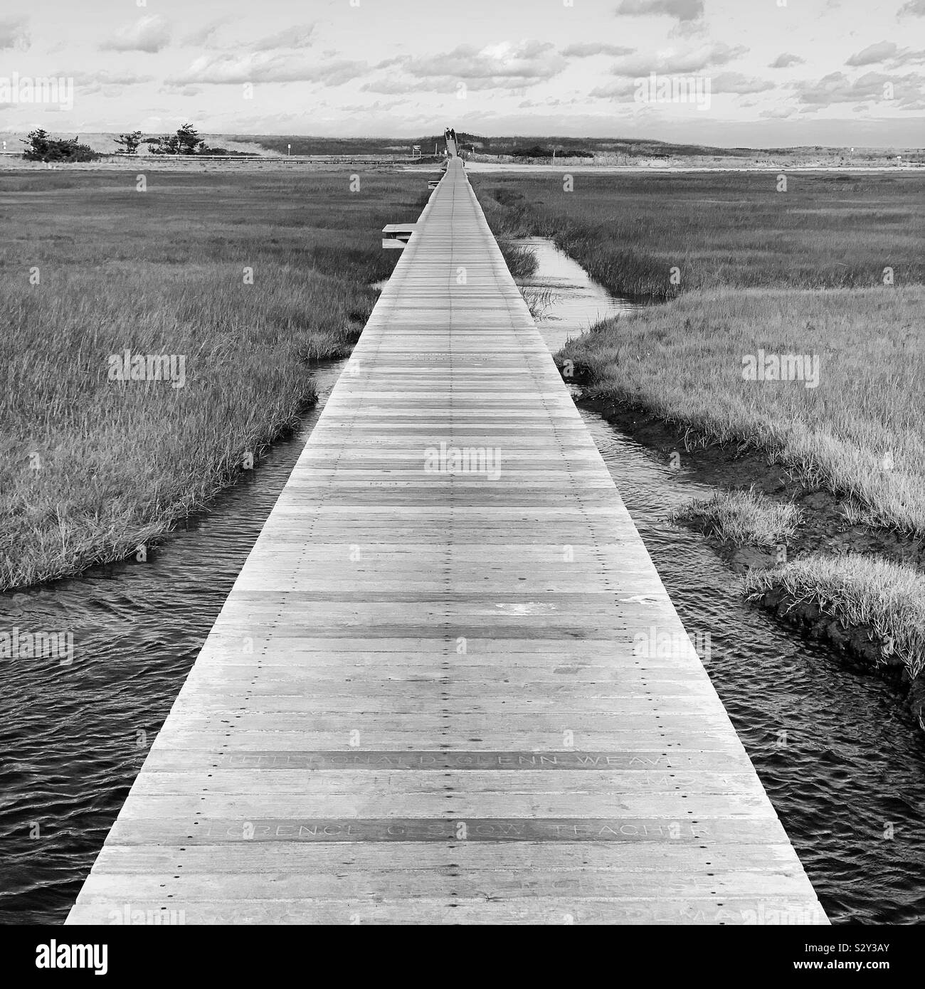Black and white image of Sandwich Boardwalk, Sandwich, Cape Cod, Massachusetts, United States - Smartphone Captured Stock Image