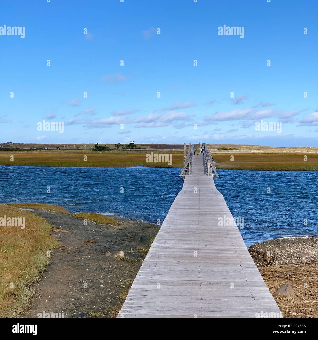 Sandwich Boardwalk, Sandwich, Cape Cod, Massachusetts, United States