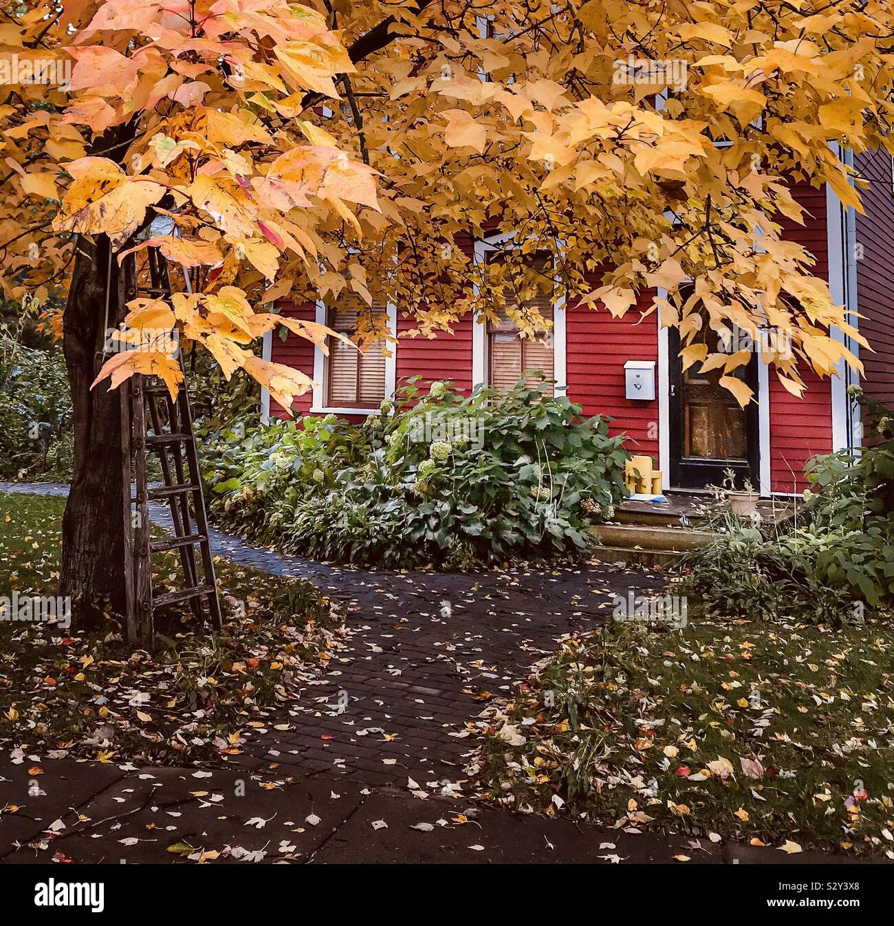 Fall color in Stillwater, Minnesota. Stock Photo