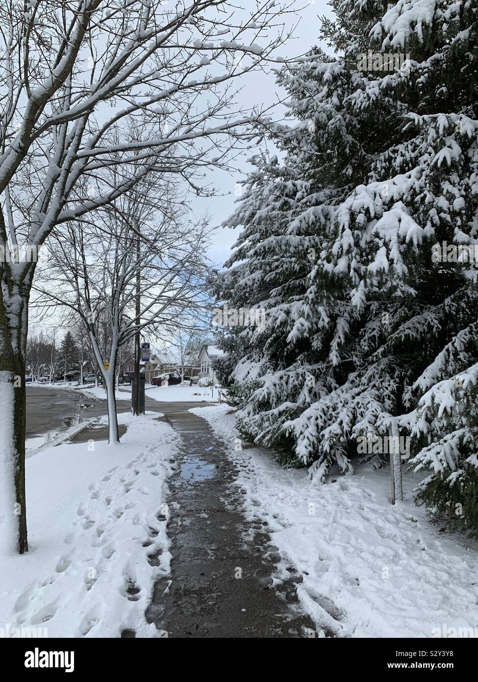 Winter in Kitchener, Ontario Stock Photo