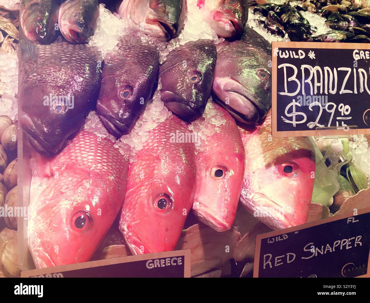 Fresh whole raw fish for sale add a fishmonger, New York City, USA - Smartphone Captured Stock Image