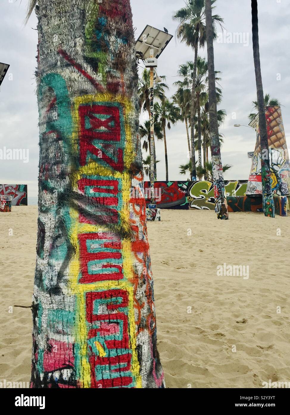Urban art: graffiti garden of painted palms at Venice Beach, Los Angeles, California, USA Stock Photo