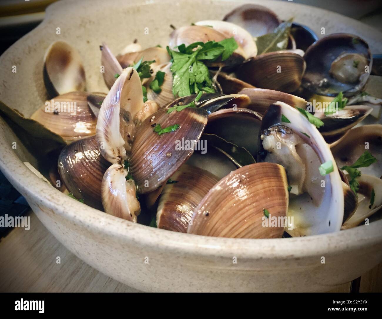Bowl of succulent steamer clams, freshly steamed with cilantro garnish - Smartphone Captured Stock Image