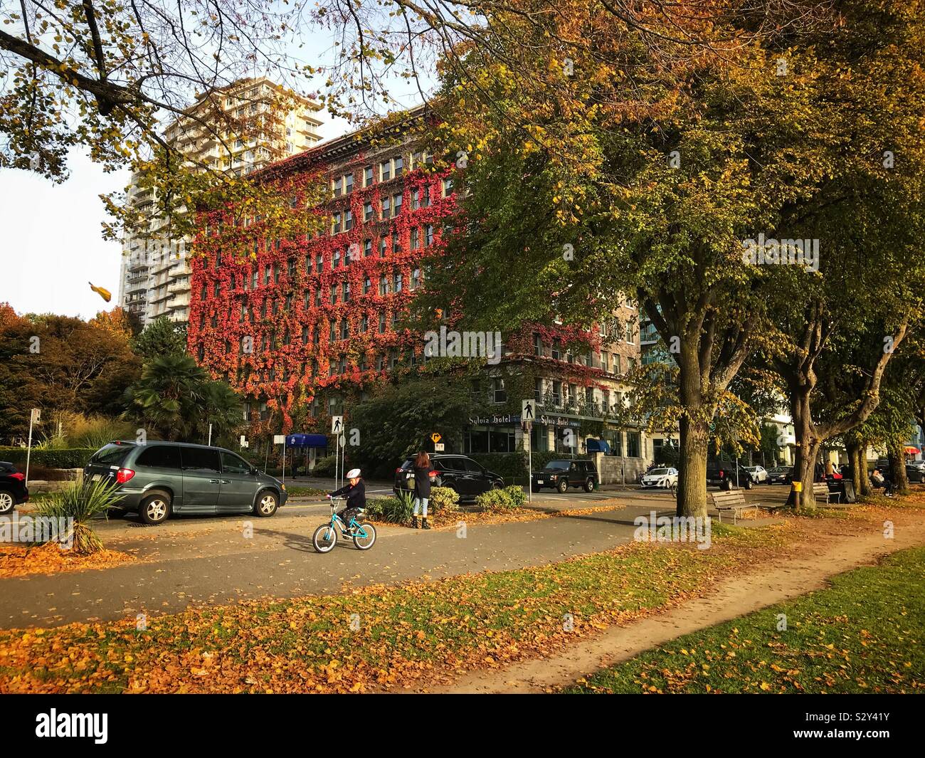 Autumn in Vancouver BC.  The Sylvia hotel in Vancouver’s West End in the Fall. - Smartphone Captured Stock Image