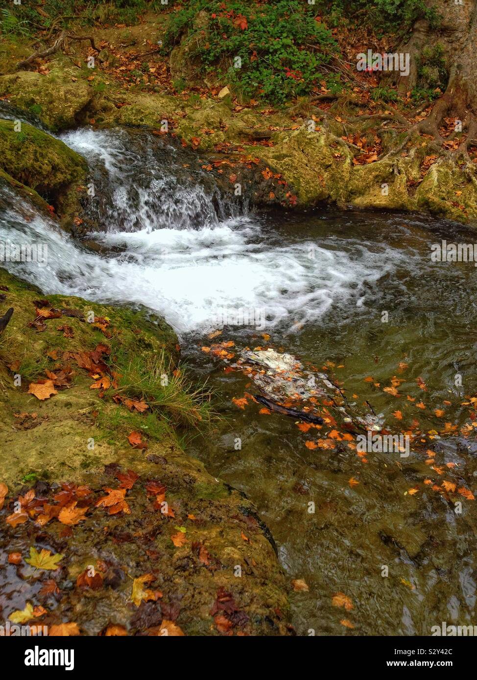 Autumn leaves waterfall hi-res stock photography and images - Alamy
