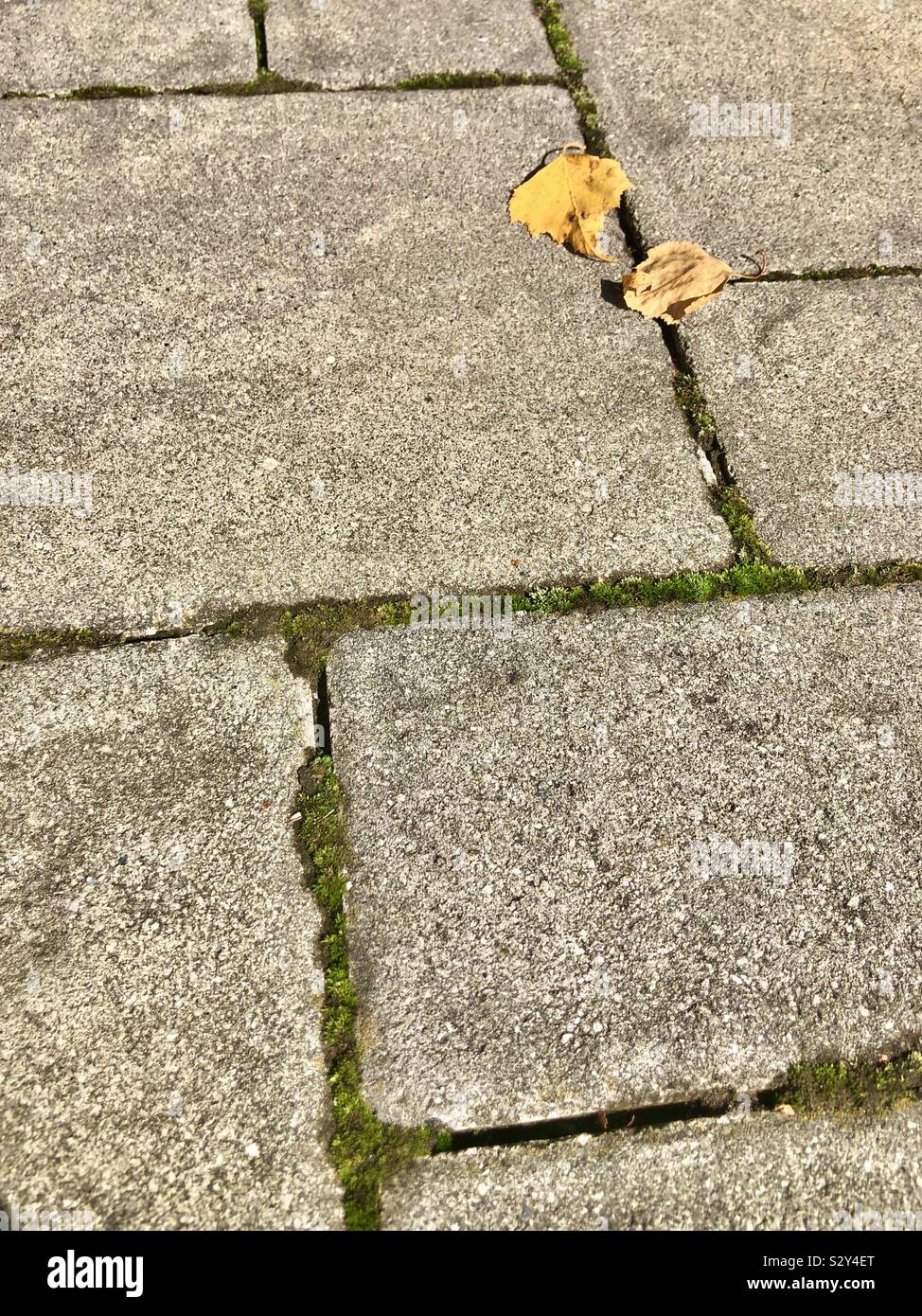 Gray pavers hires stock photography and images Alamy
