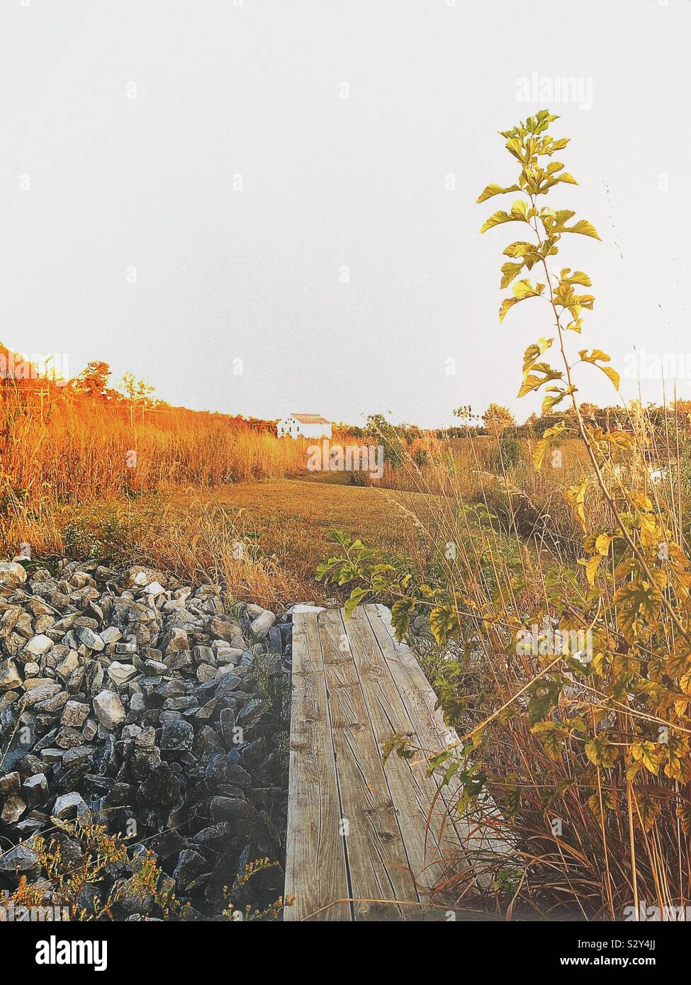 A footbridge on a trail in the autumn.   A barn is seen at the end of the trail. - Smartphone Captured Stock Image