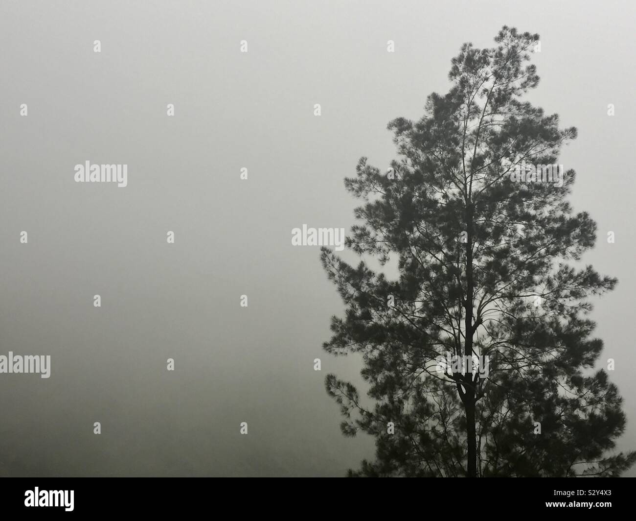 Misty weather hires stock photography and images Alamy