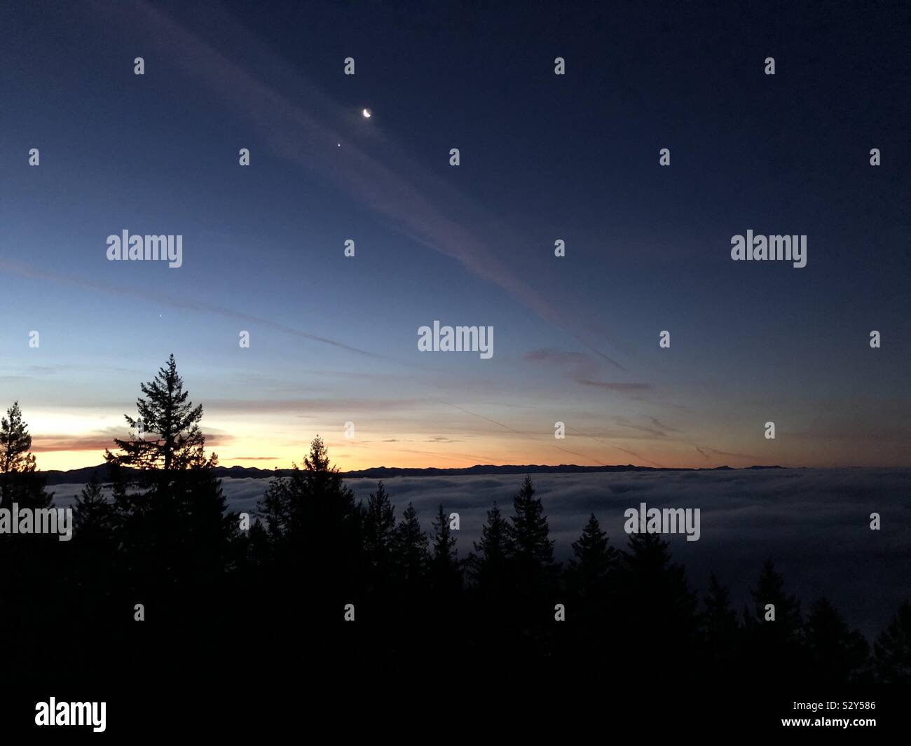 Eugene Oregon night sky Stock Photo Alamy