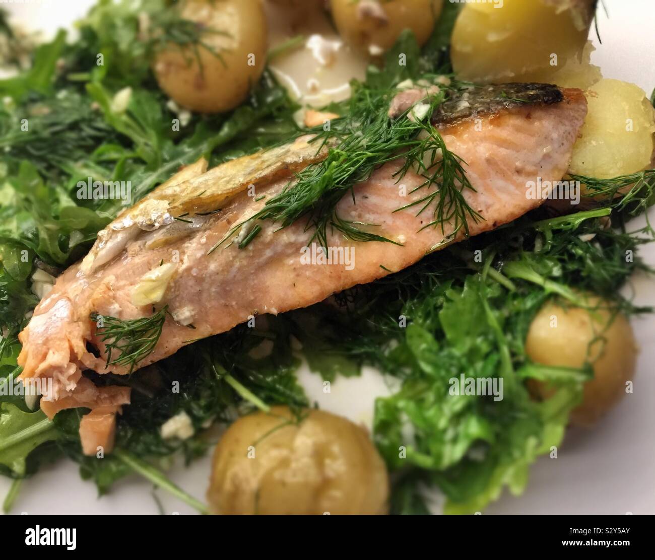 Close up of a gourmet entrée of seared salmon fillet on a bed of arugula with new potatoes and a lemon garlic dressing Stock Photo