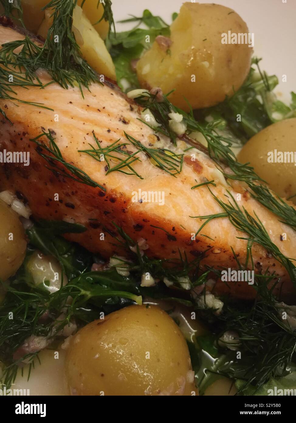 Close Up of Grilled Salmon and New Potato Entree,  USA - Smartphone Captured Stock Image