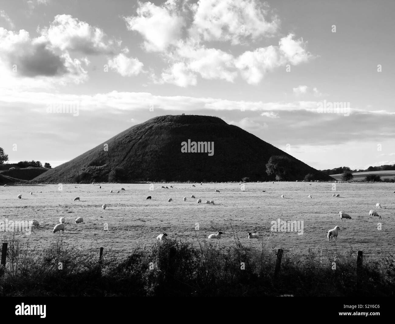A dramatic image of Silbury Hill prehistoric chalk mound in monochrome with Sheep grazing peacefully in the foreground. Stock Photo