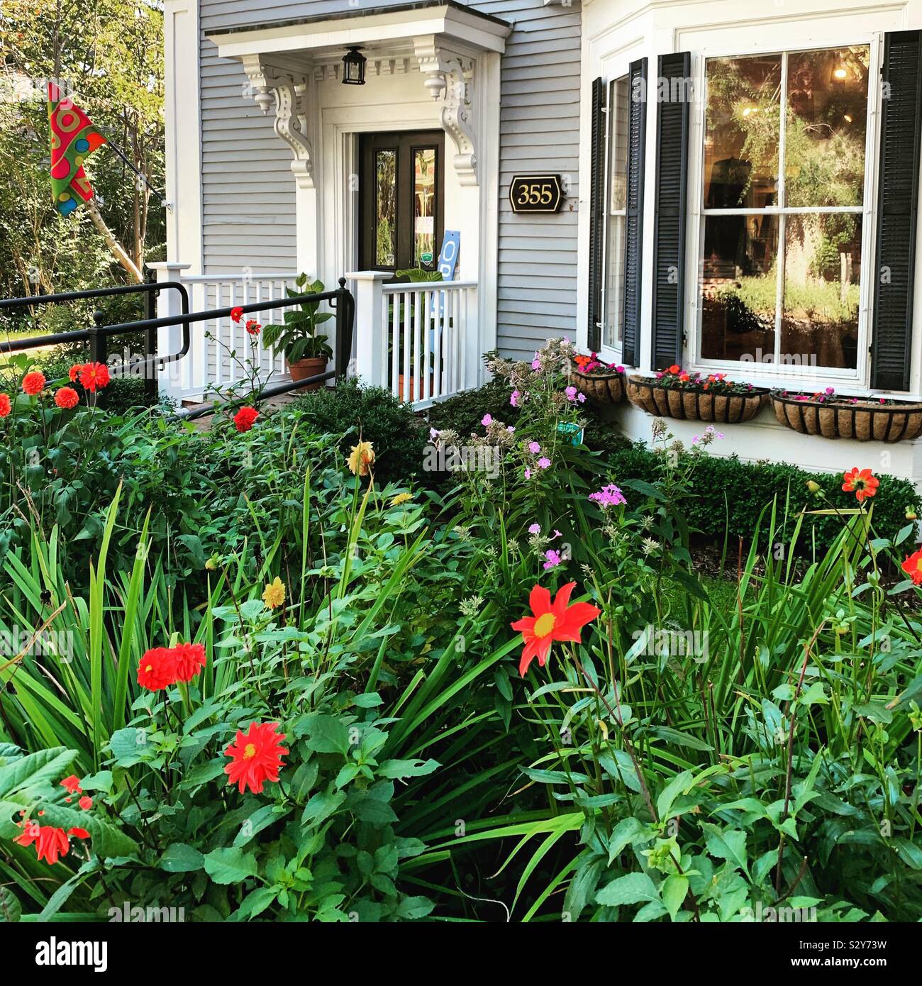 Flowers near the entrance to a home in Wellfleet, Cape Cod, Massachusetts, United States - Smartphone Captured Stock Image