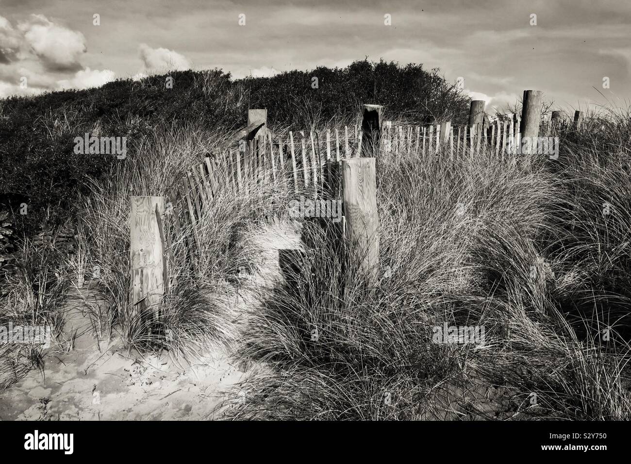 Beach and path through the marram grass near south beach, Troon, Ayrshire, Scotland, UK - Smartphone Captured Stock Image