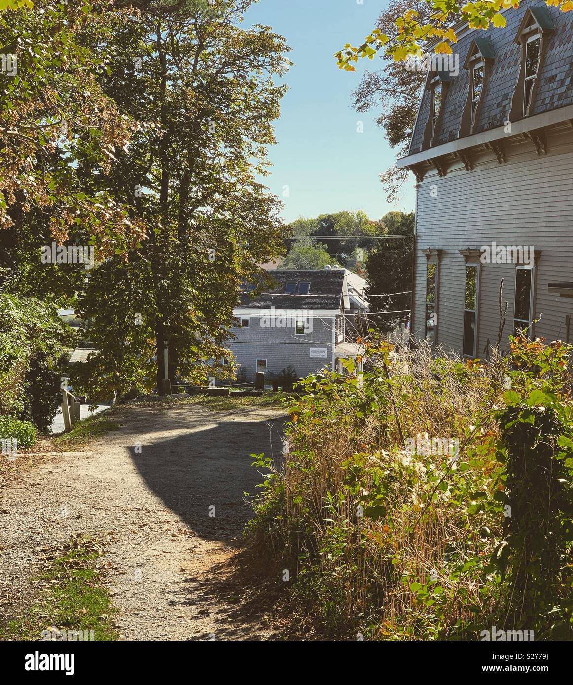 Autumn on a dirt road in Wellfleet, Cape Cod, Massachusetts, United States - Smartphone Captured Stock Image