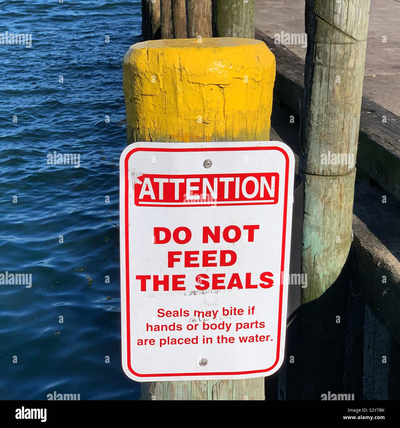 “Do Not Feed The Seals” sign, Chatham Fish Pier, Chatham, Cape Cod, Massachusetts, United States - Smartphone Captured Stock Image